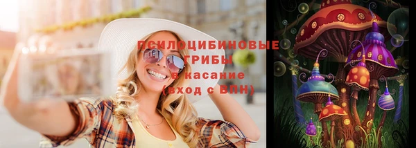 молекула духа Пересвет