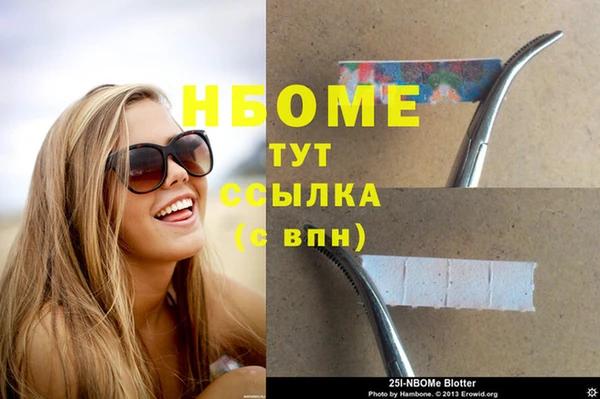 мдпв Пестово