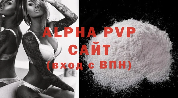 молекула духа Пересвет