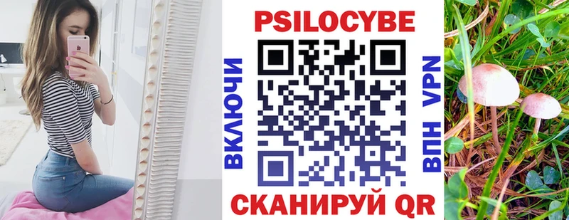 Псилоцибиновые грибы мицелий Инсар