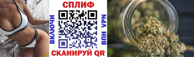Каннабис планчик  цены   Инсар 